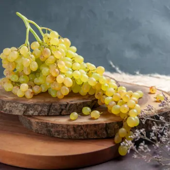 La Fine Bulle - Champagne Blanc de Blancs : définition, goût, accords et conseils pour bien le choisir