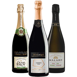 La Fine Bulle - Champagnes Bio