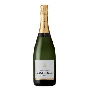 カステルノー　Castelnau Hors Categorie CM1993 NV シャンパーニュ カステルノー オール カテゴリー CM1993