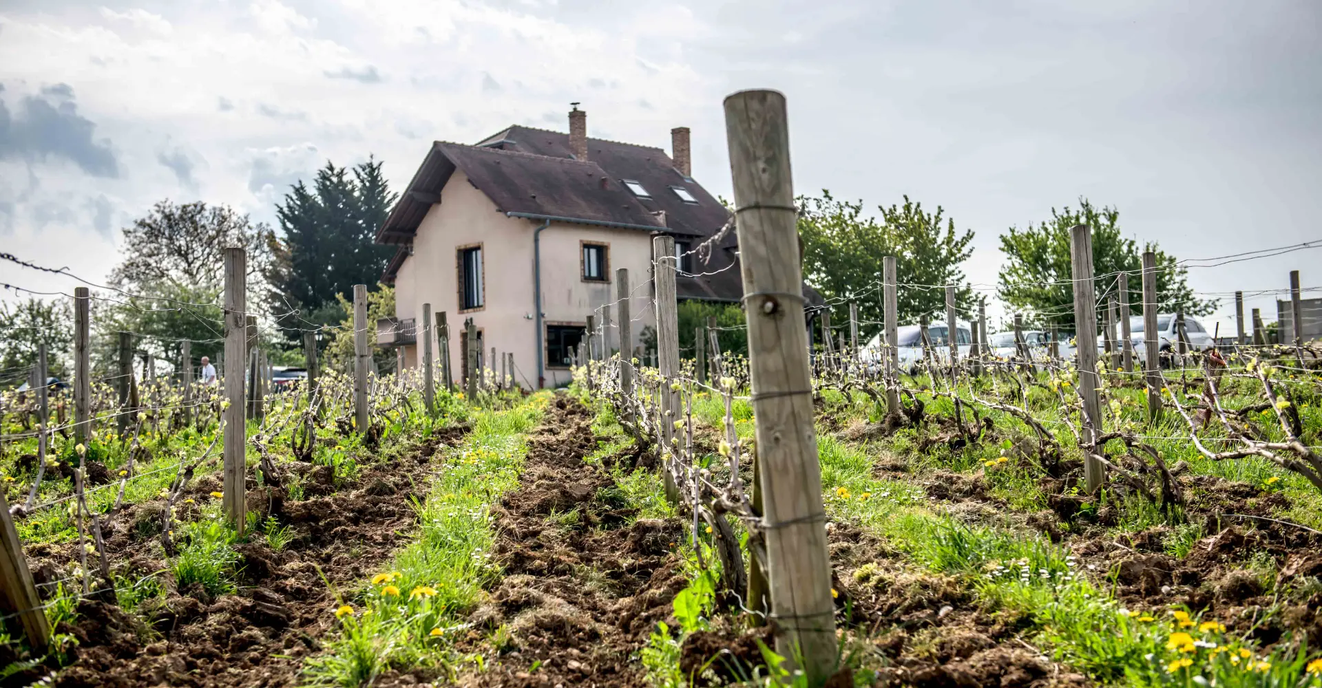 La Fine Bulle - Nos maisons - Champagne Patrick Boivin
