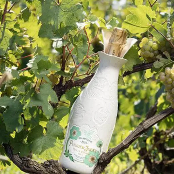 La Fine Bulle Belle Époque Cocoon 2015 - Champagne Perrier-Jouët vigne