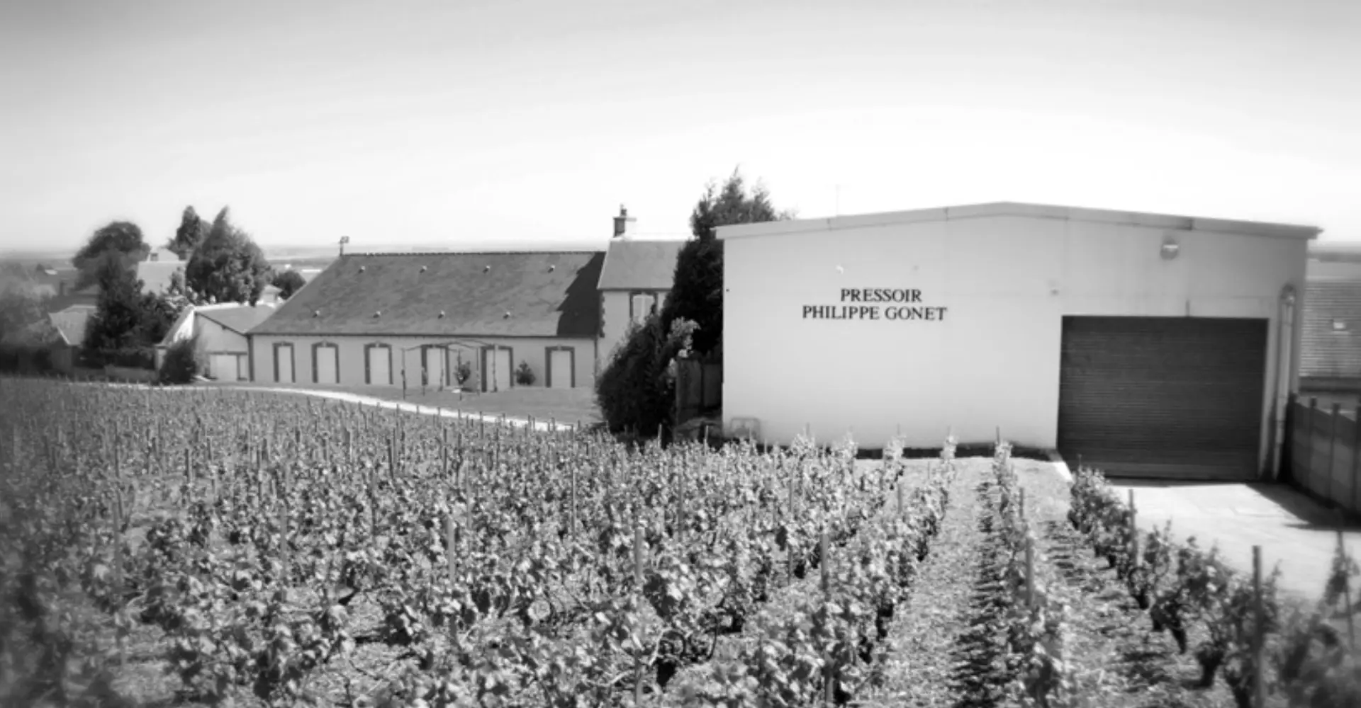 La Fine Bulle - Nos maisons - Vigneron Philippe Gonet
