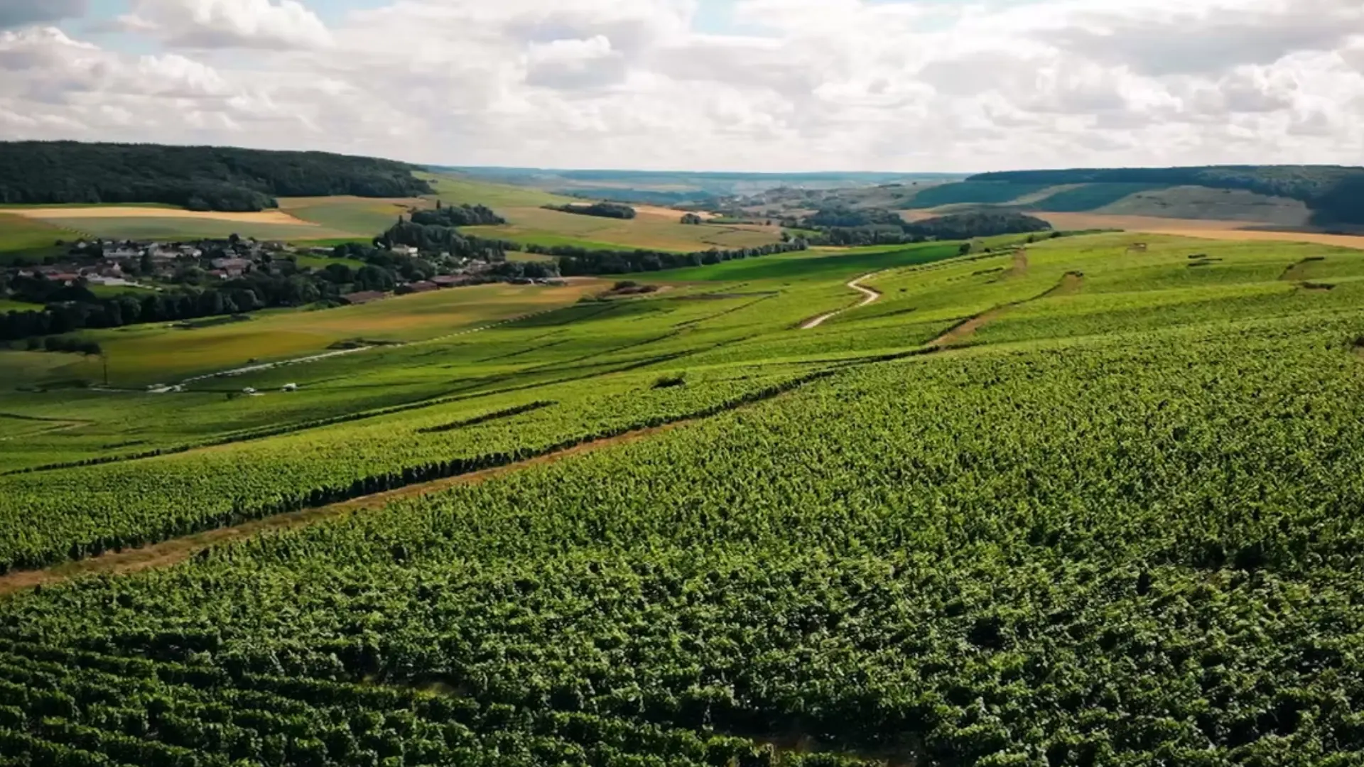 La Fine Bulle - Nos maisons - Champagne Eric Taillet