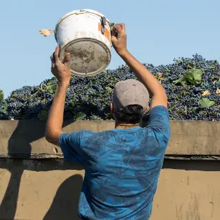 La Fine Bulle Épernay page vignerons indépendants c'est quoi ?