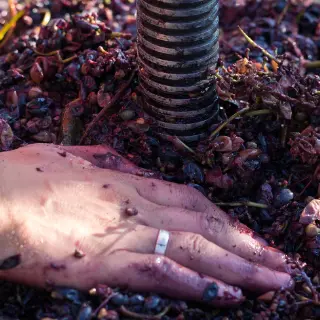 La Fine Bulle Épernay page vignerons indépendants pressoir