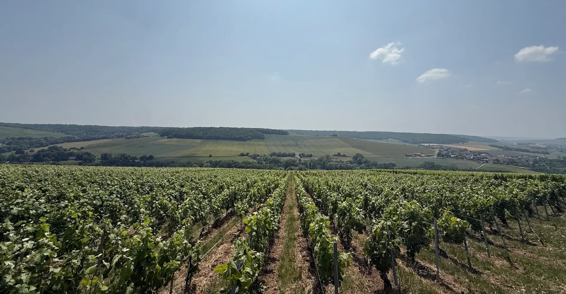 La Fine Bulle - Nos maisons - Vigneron Alexis Limar